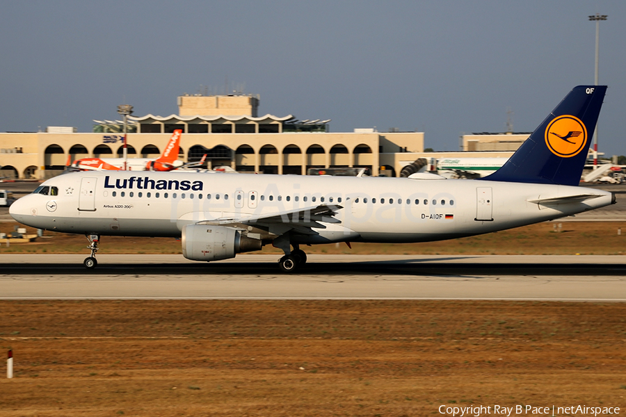 Lufthansa Airbus A320-211 (D-AIQF) | Photo 344300