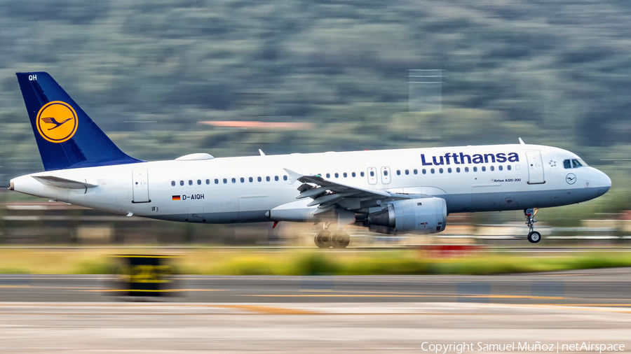 Lufthansa Airbus A320-211 (D-AIQH) | Photo 352018