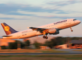 Lufthansa Airbus A320-211 (D-AIQL) at  Frankfurt am Main, Germany