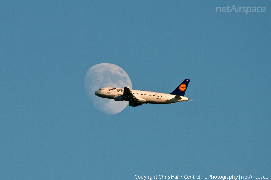 Lufthansa Airbus A320-211 (D-AIQL) | Photo 29292