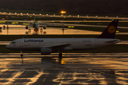 Lufthansa Airbus A320-211 (D-AIQN) at  Hamburg - Fuhlsbuettel (Helmut Schmidt), Germany