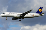 Lufthansa Airbus A320-211 (D-AIQP) at  Hamburg - Fuhlsbuettel (Helmut Schmidt), Germany