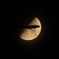 Lufthansa Airbus A320-211 (D-AIQT) at  Frankfurt am Main, Germany