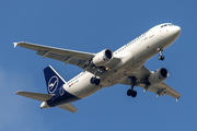 Lufthansa Airbus A320-211 (D-AIQU) at  Luqa - Malta International, Malta