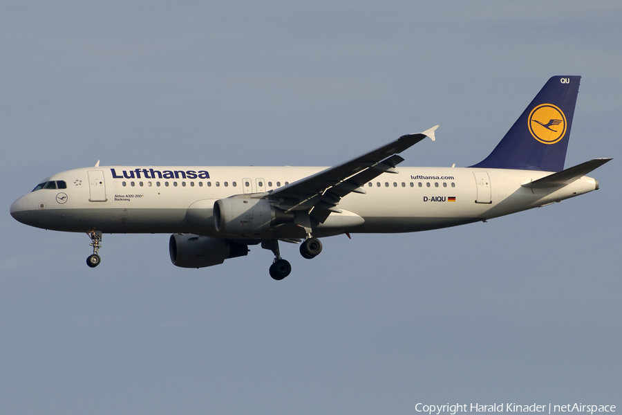 Lufthansa Airbus A320-211 (D-AIQU) | Photo 311202