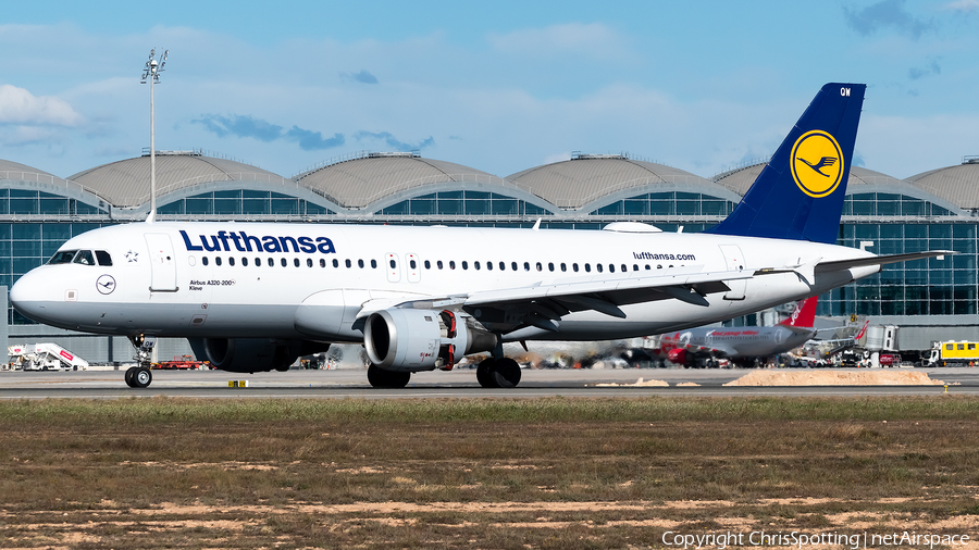 Lufthansa Airbus A320-211 (D-AIQW) | Photo 292549