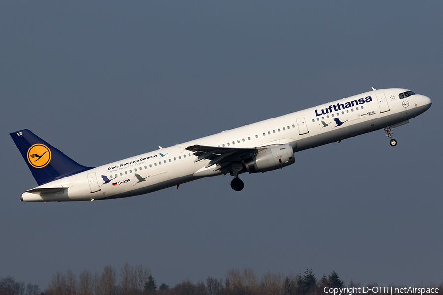 Lufthansa Airbus A321-131 (D-AIRR) | Photo 144907