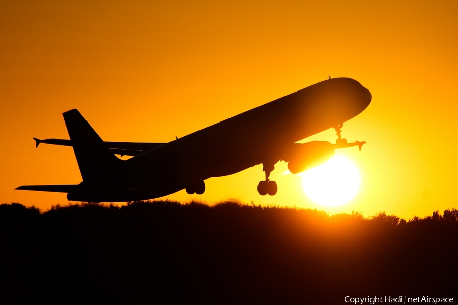 Lufthansa Airbus A321-131 (D-AIRS) | Photo 36731