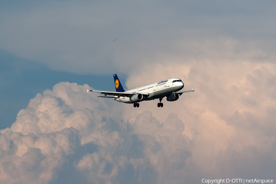 Lufthansa Airbus A321-131 (D-AIRY) | Photo 276806