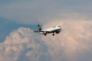 Lufthansa Airbus A321-131 (D-AIRY) at  Copenhagen - Kastrup, Denmark