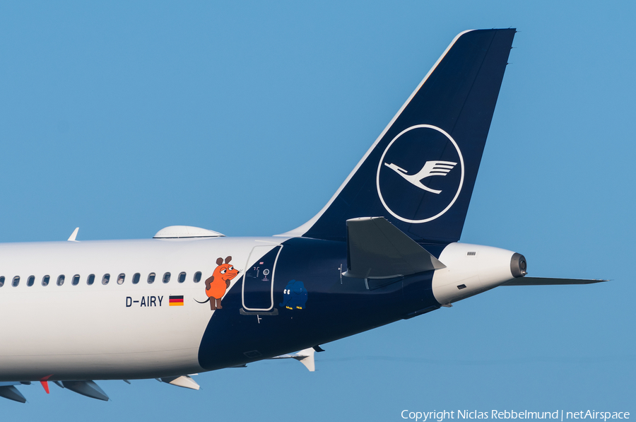 Lufthansa Airbus A321-131 (D-AIRY) | Photo 307936