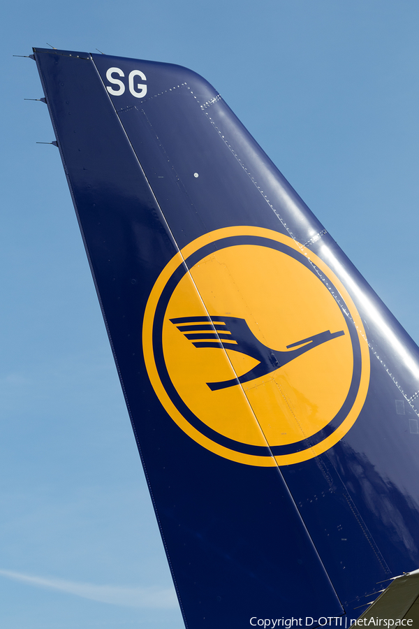 Lufthansa Airbus A321-231 (D-AISG) | Photo 148612