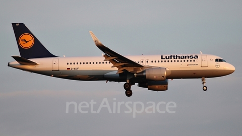 Lufthansa Airbus A320-214 (D-AIUF) at  Frankfurt am Main, Germany