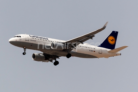 Lufthansa Airbus A320-214 (D-AIUF) at  Luqa - Malta International, Malta