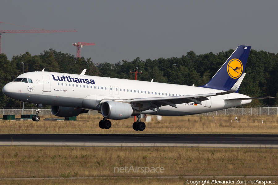 Lufthansa Airbus A320-214 (D-AIUM) | Photo 125844