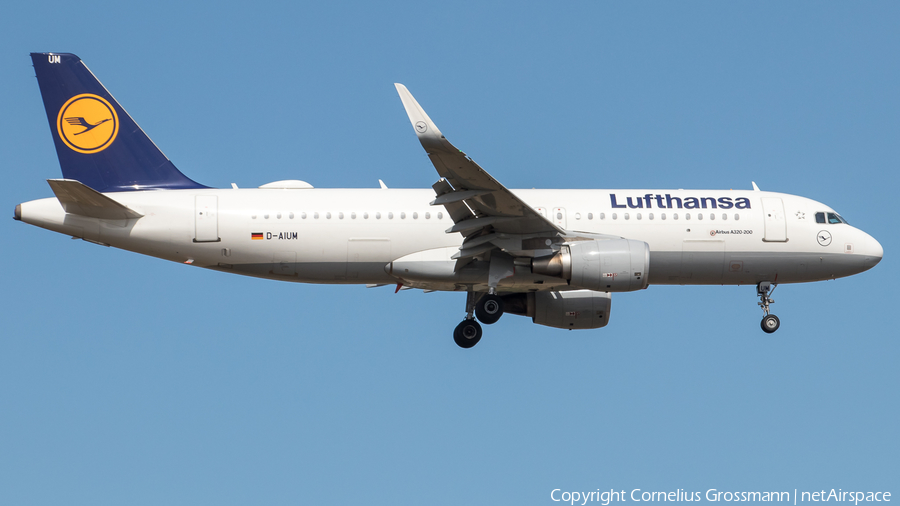 Lufthansa Airbus A320-214 (D-AIUM) | Photo 435493