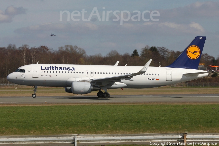 Lufthansa Airbus A320-214 (D-AIUO) | Photo 152383