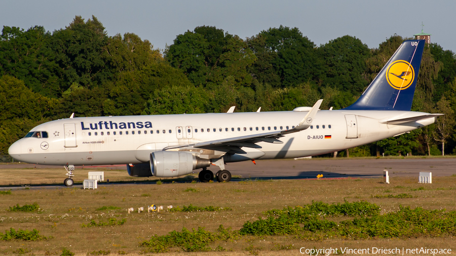 Lufthansa Airbus A320-214 (D-AIUO) | Photo 521285