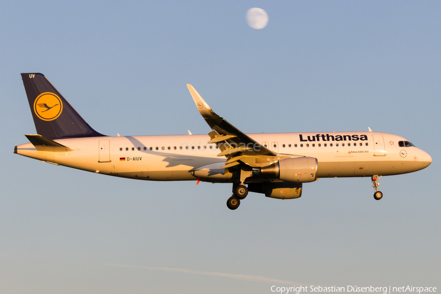 Lufthansa Airbus A320-214 (D-AIUV) | Photo 175538