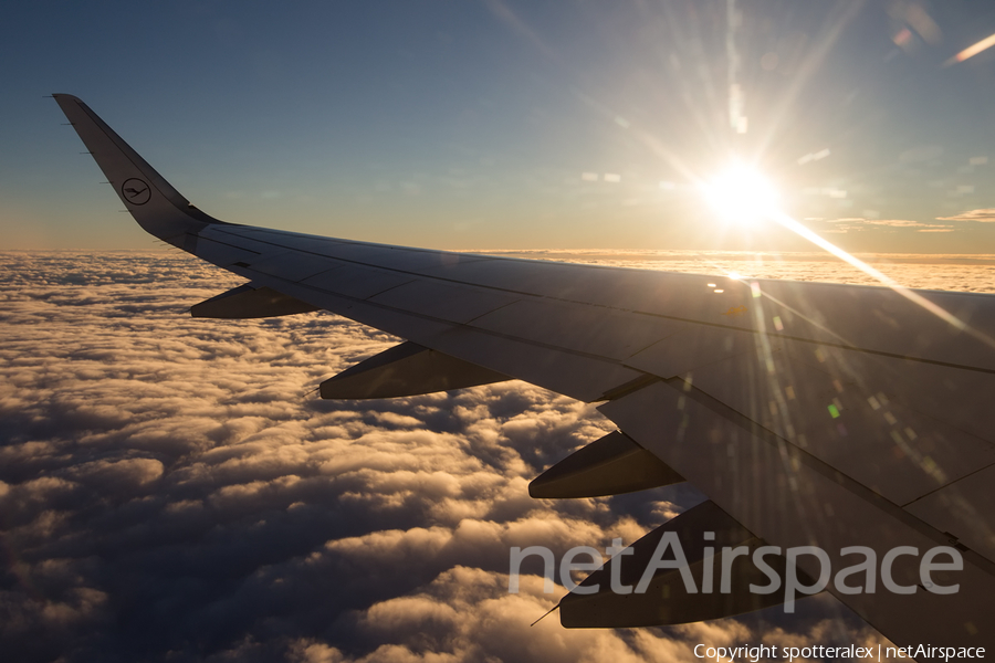 Lufthansa Airbus A320-214 (D-AIUY) | Photo 280786
