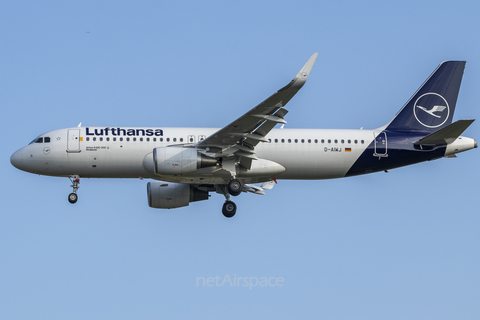 Lufthansa Airbus A320-214 (D-AIWJ) at  Frankfurt am Main, Germany