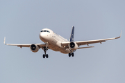 Lufthansa Airbus A320-214 (D-AIZP) at  Luqa - Malta International, Malta