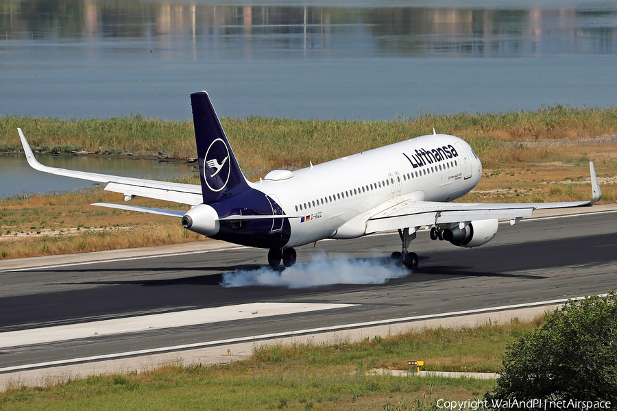 Lufthansa Airbus A320-214 (D-AIZZ) | Photo 479840