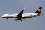 Lufthansa Airbus A320-214 (D-AIZZ) at  Luqa - Malta International, Malta