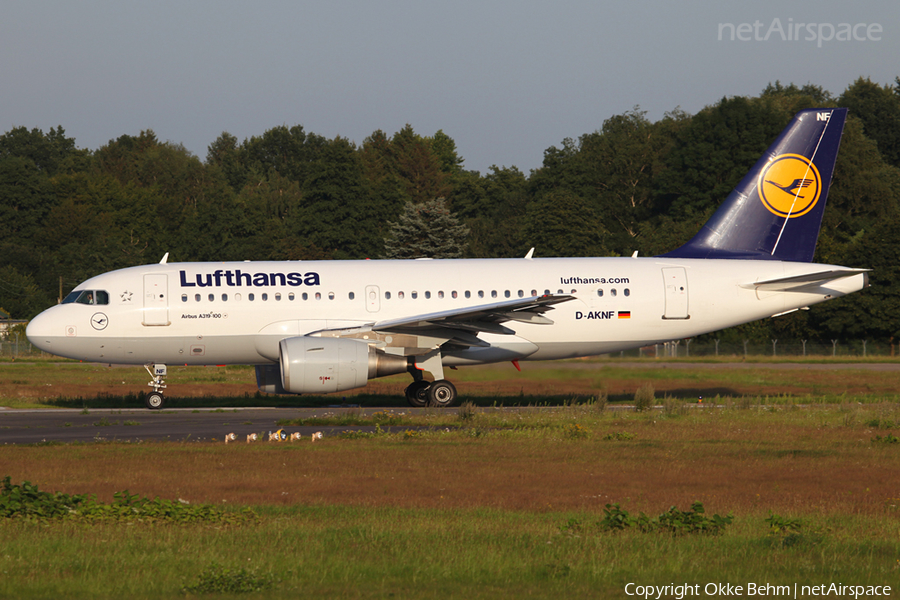 Lufthansa Airbus A319-112 (D-AKNF) | Photo 52362