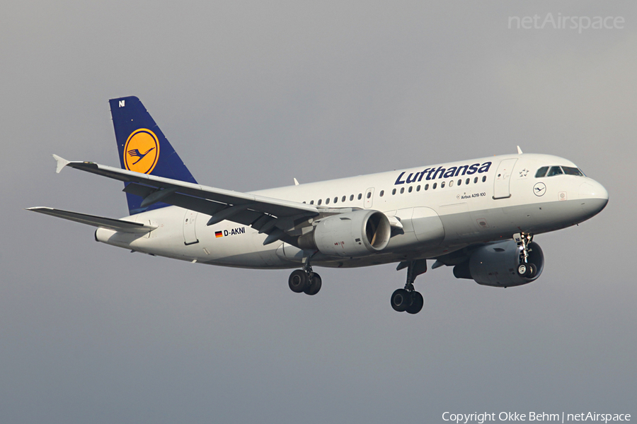 Lufthansa Airbus A319-112 (D-AKNI) | Photo 42372