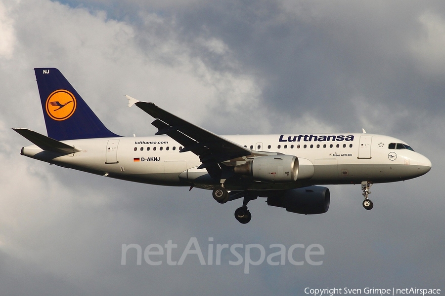 Lufthansa Airbus A319-112 (D-AKNJ) | Photo 17986