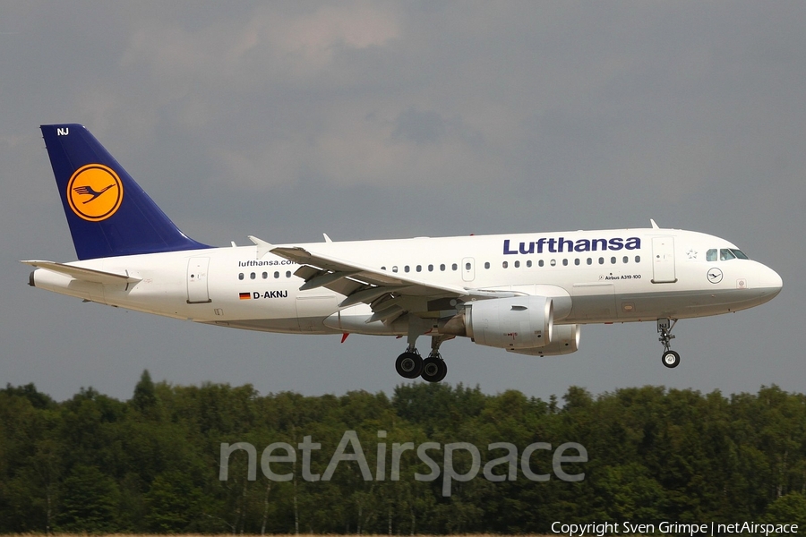 Lufthansa Airbus A319-112 (D-AKNJ) | Photo 19787