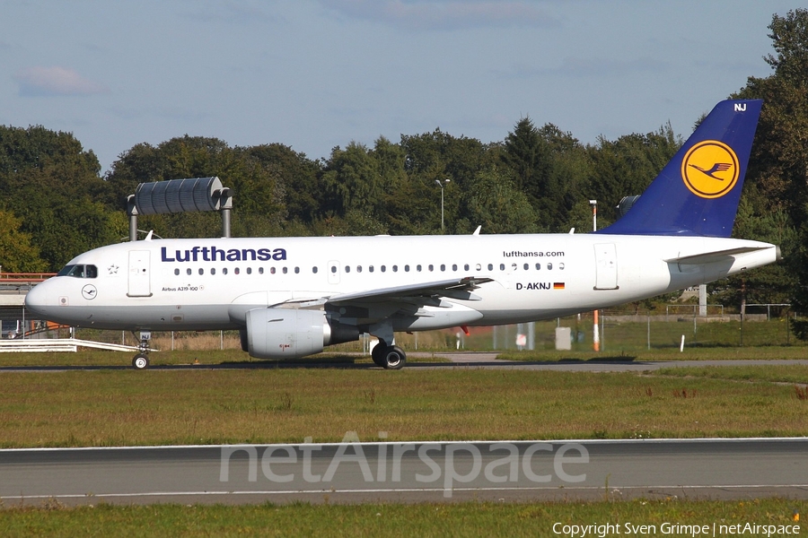 Lufthansa Airbus A319-112 (D-AKNJ) | Photo 32135