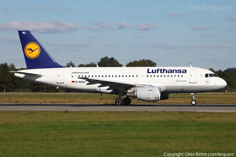 Lufthansa Airbus A319-112 (D-AKNJ) | Photo 42373