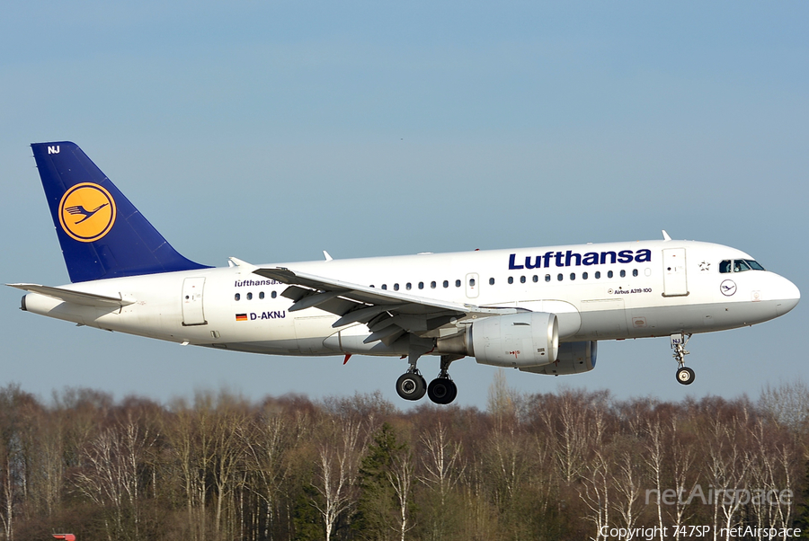 Lufthansa Airbus A319-112 (D-AKNJ) | Photo 46794