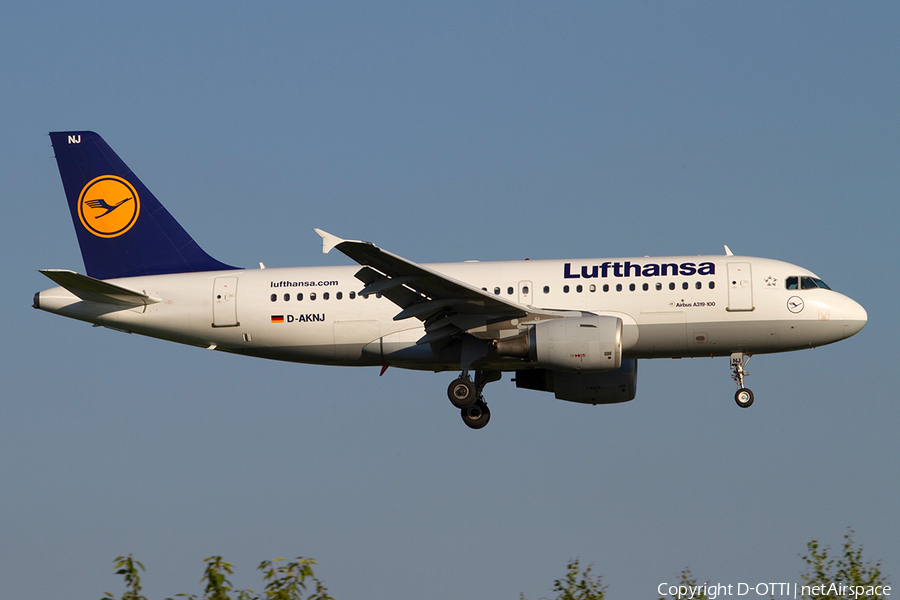 Lufthansa Airbus A319-112 (D-AKNJ) | Photo 388591
