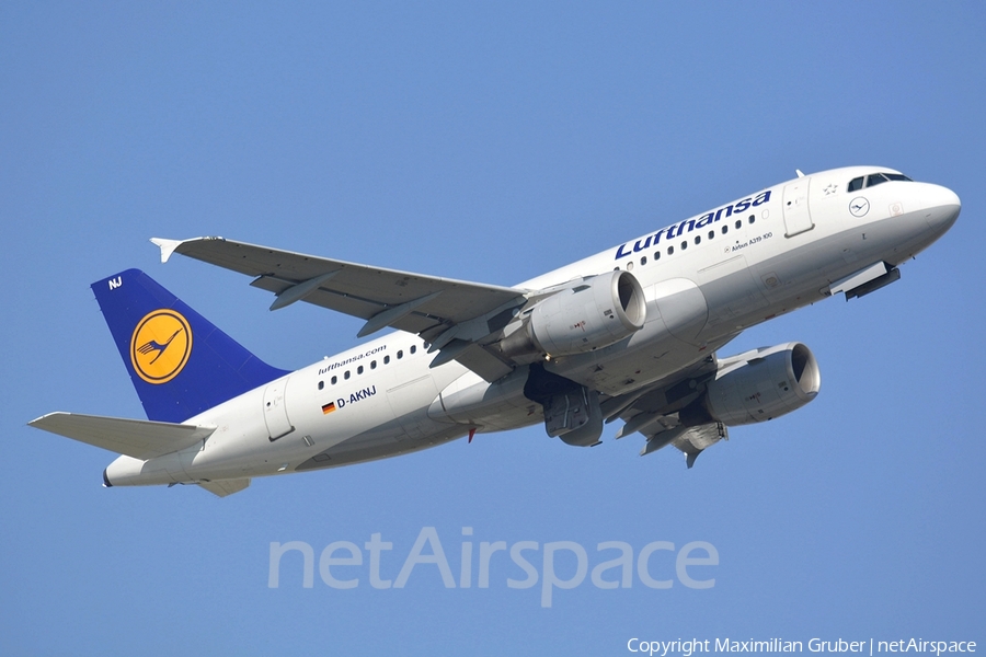 Lufthansa Airbus A319-112 (D-AKNJ) | Photo 111978