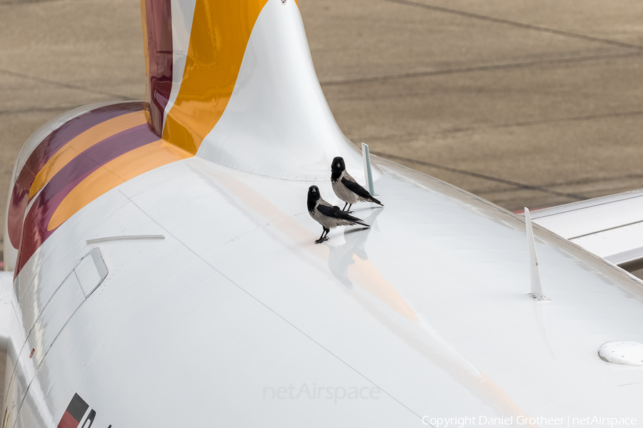 Germanwings Airbus A319-112 (D-AKNV) | Photo 102781