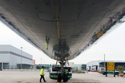 Lufthansa Cargo McDonnell Douglas MD-11F (D-ALCC) at  Guangzhou - Baiyun, China