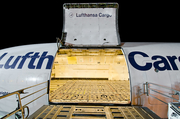 Lufthansa Cargo McDonnell Douglas MD-11F (D-ALCF) at  Frankfurt am Main, Germany