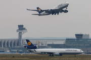 Lufthansa Cargo McDonnell Douglas MD-11F (D-ALCI) at  Frankfurt am Main, Germany