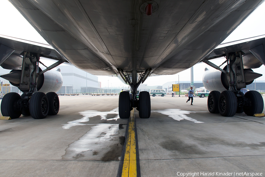 Lufthansa Cargo McDonnell Douglas MD-11F (D-ALCK) | Photo 294274