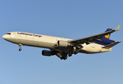 Lufthansa Cargo McDonnell Douglas MD-11F (D-ALCK) at  Dallas/Ft. Worth - International, United States
