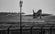 Lufthansa Cargo McDonnell Douglas MD-11F (D-ALCM) at  Frankfurt am Main, Germany