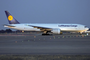 Lufthansa Cargo Boeing 777-FBT (D-ALFA) at  Dallas/Ft. Worth - International, United States