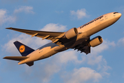 Lufthansa Cargo Boeing 777-FBT (D-ALFA) at  Frankfurt am Main, Germany