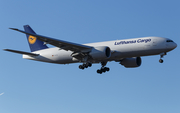 Lufthansa Cargo Boeing 777-FBT (D-ALFB) at  Frankfurt am Main, Germany