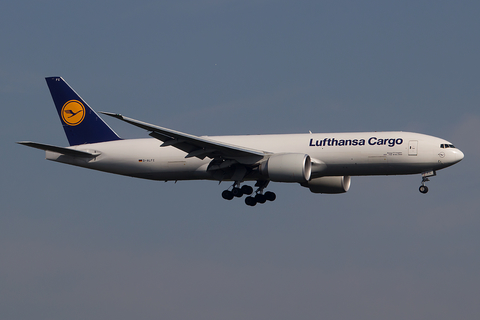 Lufthansa Cargo Boeing 777-FBT (D-ALFC) at  Frankfurt am Main, Germany