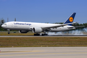 Lufthansa Cargo Boeing 777-FBT (D-ALFC) at  Frankfurt am Main, Germany