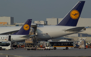 Lufthansa Cargo Boeing 777-FBT (D-ALFD) at  Frankfurt am Main, Germany